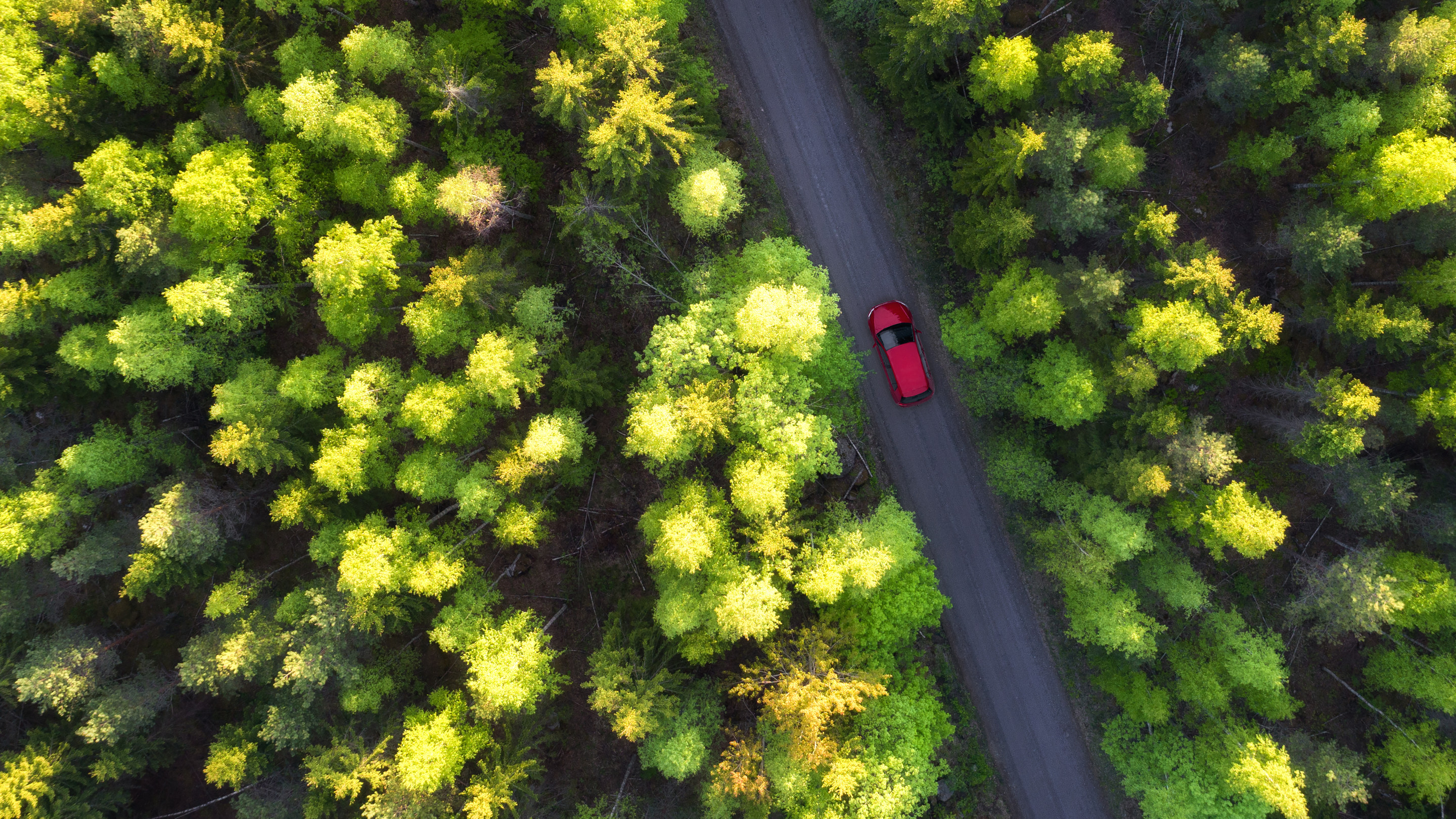 Secto kasvoi seitsemän kertaa markkinaa nopeammin, työntekijä- ja asiakaskokemus huippulukemissa